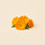 Ringelblume